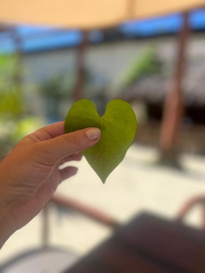 The All Inclusive Hostel - Food, Drinks And Transportation To The Beach And Cenotes トゥルム エクステリア 写真